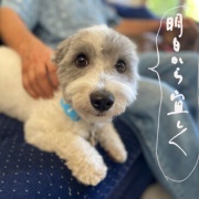 ���٤���˺��ä����ȡ����ϸ����Ф��ˤ���