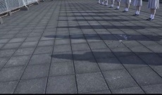 【乃木坂46】5期生の中に梅澤美波を見下ろすメンバーがいる…?!