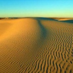 砂漠ではこんな星空が見えるらしい