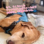 ロンさんの、健康管理手帳