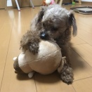 こらぁ〜〜💢