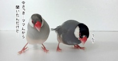 ちょっとよくわからない会話