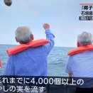 どんぶらこ