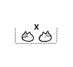 新ブログスタートします！