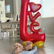 バースデーの1日🎂🎈