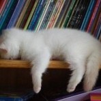 にゃんこ速報～修羅場・キチママ・生活まとめ～