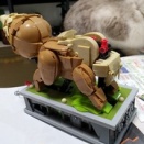 手足まできました