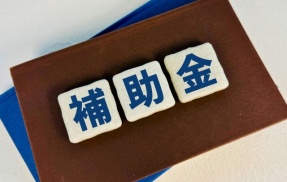政府、家計支援として補助金を支給か　電気・ガス代などの上昇は避けられない模様