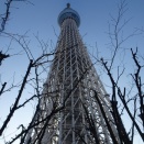 【東京スカイツリーとライブ】東京都　2月6日