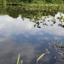 ͽ���̤ꡡ��ī����2�������жл��֤˴֤˹礦�褦�˾¤����򤷤���ޤ���(^_^)