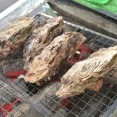 期間限定！旬の東北の牡蠣を特別価格で！大人気店企画『出張カキ小屋「牡蠣奉行」in 三井アウトレットパーク北陸小矢部』10月3日～11月8日開催。