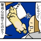 お犬様