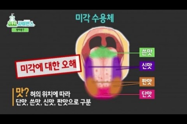 料理でおぼえる韓国語 味の表現を韓国語で