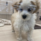 お店の子紹介🐾
