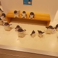 新宿ペンギンバザール＆常圓寺