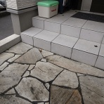 ラッキーの日記と、パパのカメブラ散歩