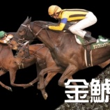 『金鯱賞(G2)【掟破りの金になる話】』の画像