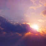 (公式) 北の森からの贈りもの