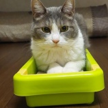 『‘’温かい愛‘’を…』の画像