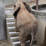 砥愛ちゃん、まだまだ上っています！下りています！