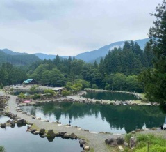明日13日(月)もトラック放流です！