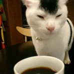 裏つるきち
