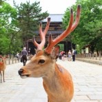 MoGood速報