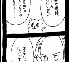 どうしても保護猫を迎えたかった知人の話15