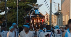 夏が来た♪！