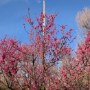 知事は衆院選をどう見た