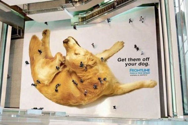 Decoplusの特にプラスにならないブログ デザイン