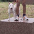岩手のホタルちゃん１歳になりました～