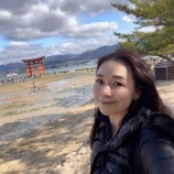 『厳島神社観光』の画像