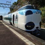 阪和線の沿線から