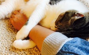 「運命の子」を見つけた瞬間