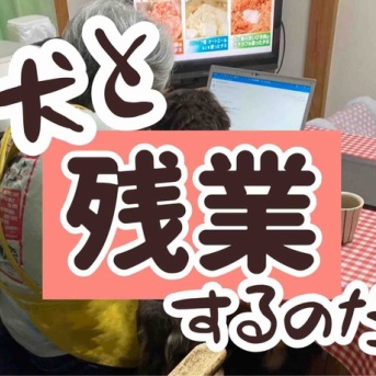 癒されています。