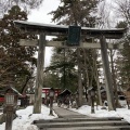 「雪でも降ってくれないかな…」そんな気持ちです…