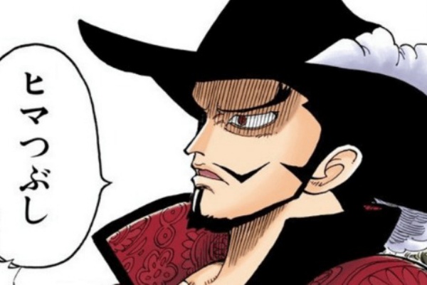 衝撃 ワンピース 鷹の目のミホークの船 ガチでヤバいｗｗｗｗｗ アニメ わかり速報