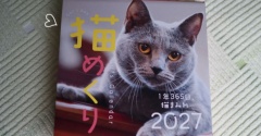 もしもあなたが審査員なら…
