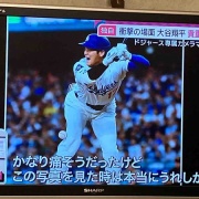 ͭƯ���ʤ����������ˤ������ȸ��ä�����ë��ʿ