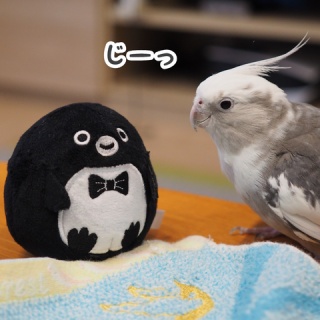NEW!ユニブログ