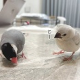 祝！ひとり餌バンザ～イ！