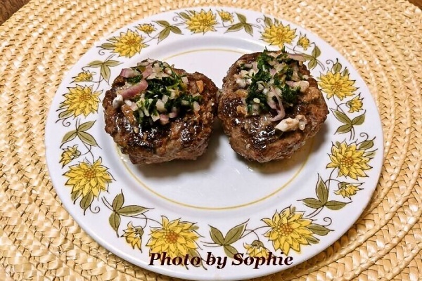 プロのレシピ集　世界肉料理辞典　定価33,000円　1000以上のレシピ 世界肉料理辞典 1000以上のレシピ