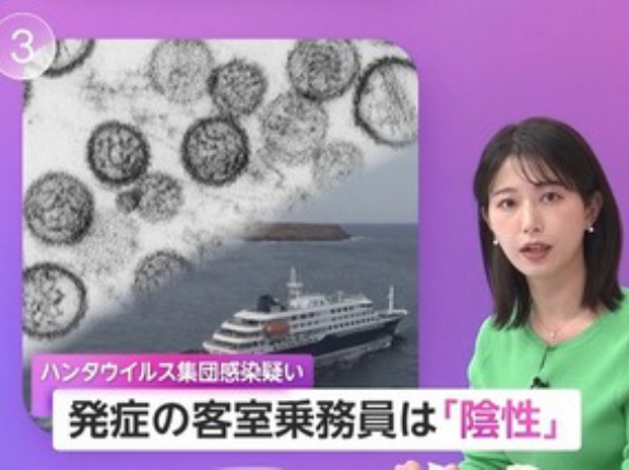 スペインのテネリフェ島でハンタウイルス集団感染疑いのクルーズ船寄港に反対デモ