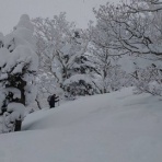 札幌ピオレ山の会