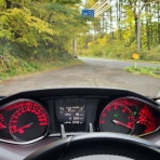 きまじめチキン日記