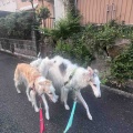 誕生日。