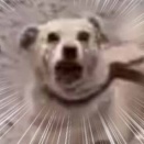 道端にめちゃくちゃキレてる奴がいた。お、落ち着けって！ → 仲間が必死に止めているんだが…