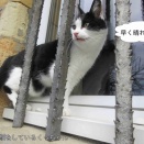 23歳の学生、極左団体のリンチで死亡