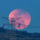 『投稿：月の出半影月食　2025/03/21』の画像